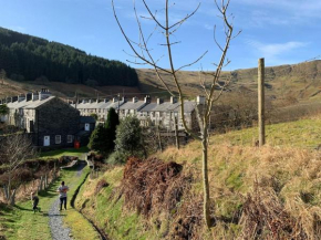 Yr Hen Siop - 4 bed welsh cottage in Snowdonia